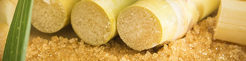 Sugar CFDs trading @ AvaTrade