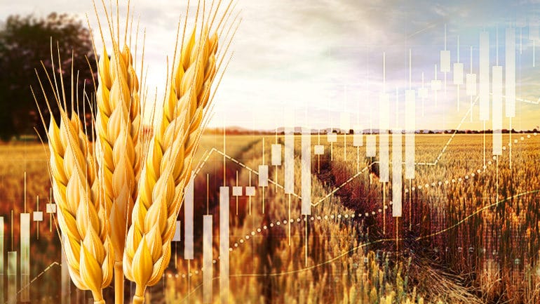 Is now a Good Time to Harness Europe’s Breadbasket?